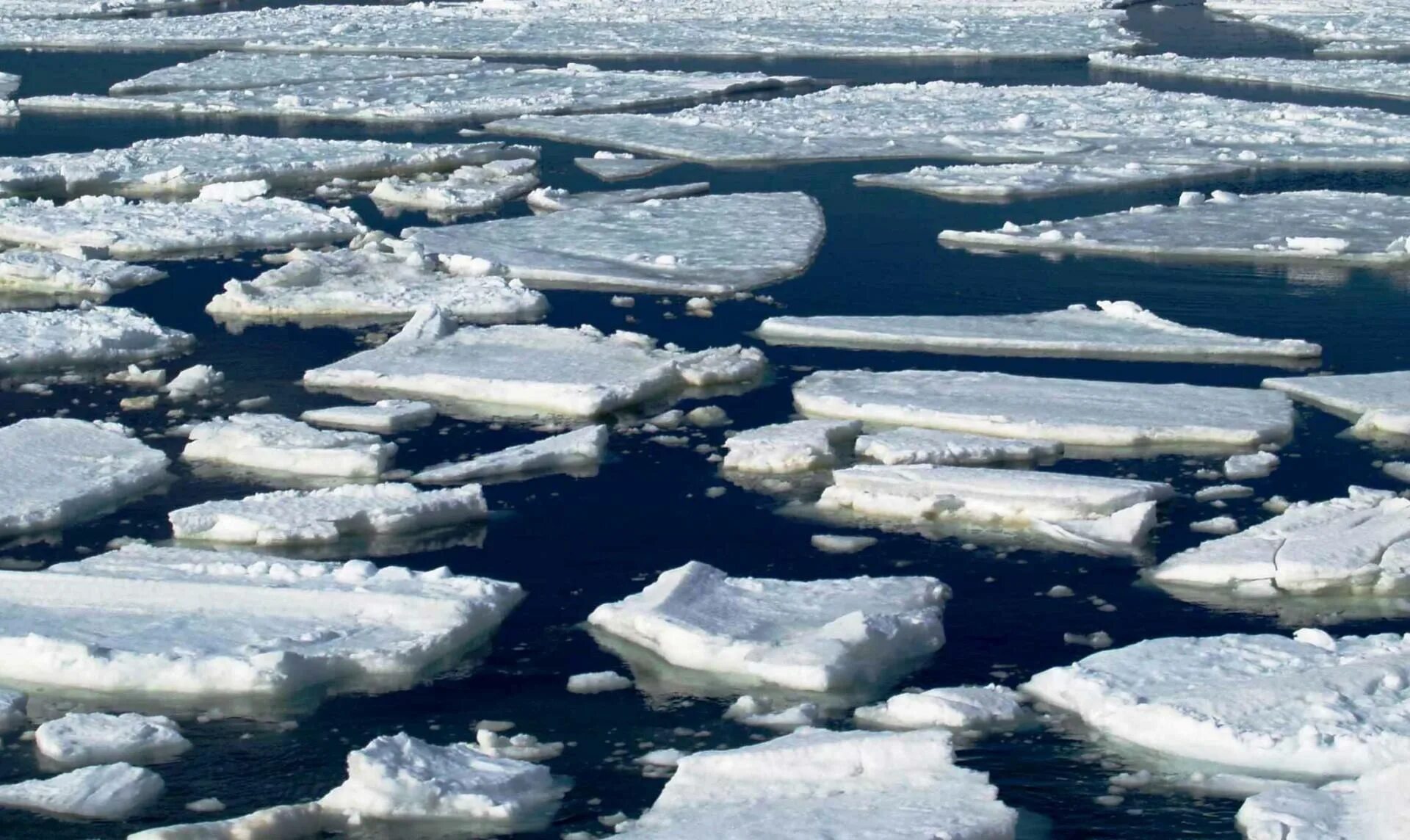 Мелкий лед на воде 4. Ледоход в Архангельске. Ледоход на реке. Таяние льда на реке.