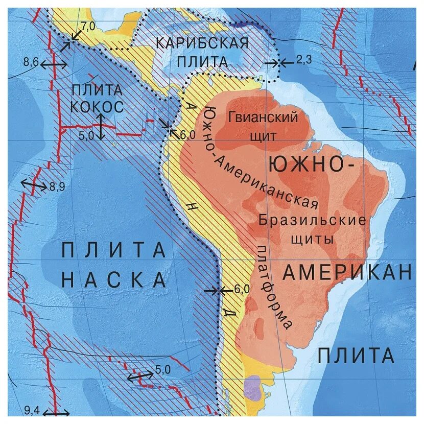 На какой платформе америка. Тектонические плиты Южной Америки. Южно-американская плита. Тектоническая карта Южной Америки. Южно американская литосферная плита.