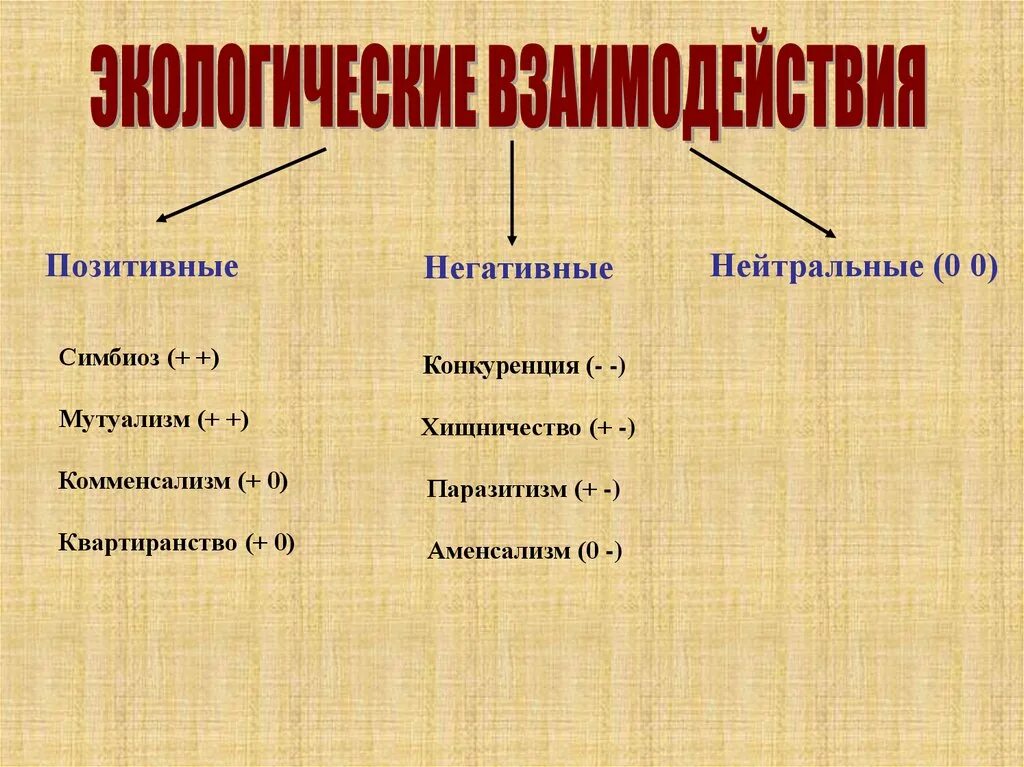 6 эмоций. Положительный отрицательный нейтральный. Смайлик результат. Положительный отрицательный нейтральный. Хищничество паразитизм конкуренция симбиоз.