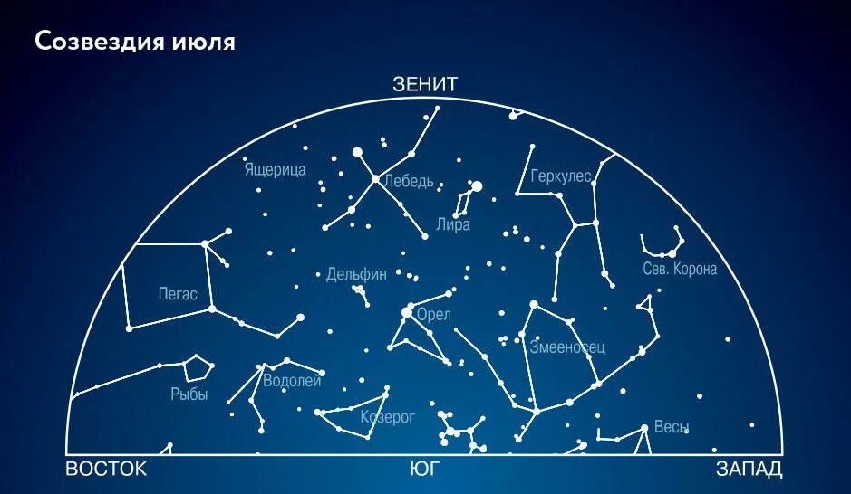 В северном полушарии можно увидеть. Созвездия. Созвездия на небе. Карта звездного неба. Звездное небо созвездия.