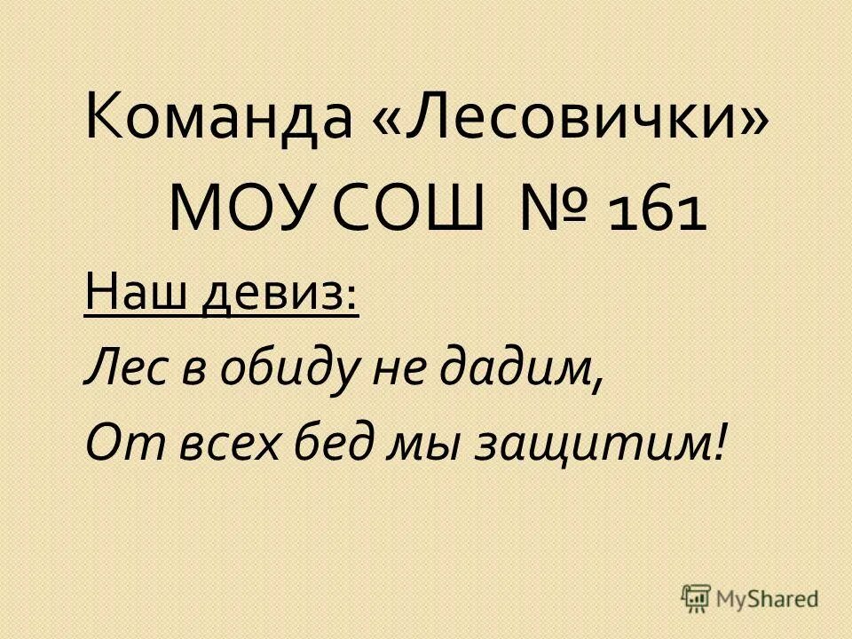 Девиз лес. Девиз защитников леса. Девиз отряда. Слоган лесной отрасли. Девиз на лесную тему.