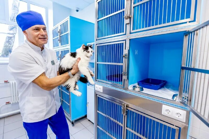 Ветеринарная клиника варги. Ветклиника вешняковская. 12ж. Ветеринарная клиника акела москва. Ветеринарная клиника вао москва.