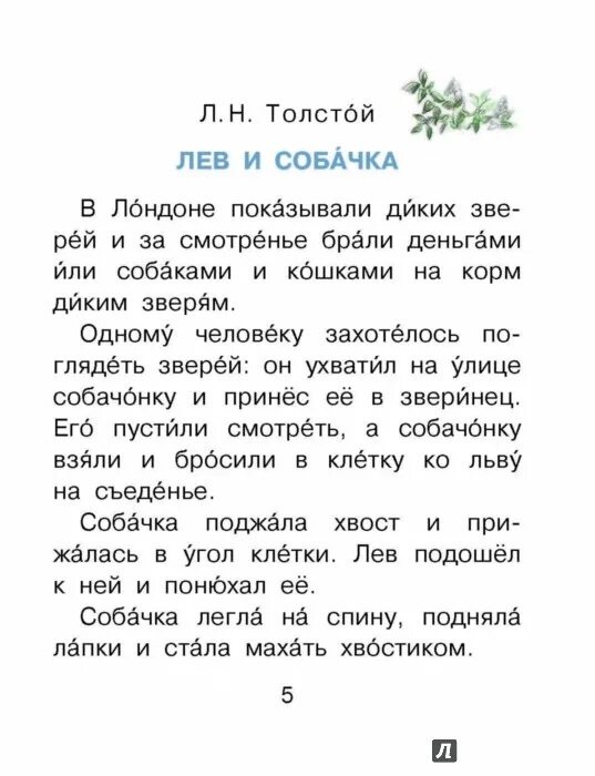 короткие рассказы для дошкольников. сказки для детей текст. короткие тексты для чтения. рассказ для чтения дошкольников. текст для дошкольников.