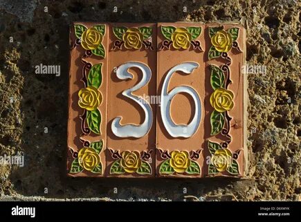 36 число человека