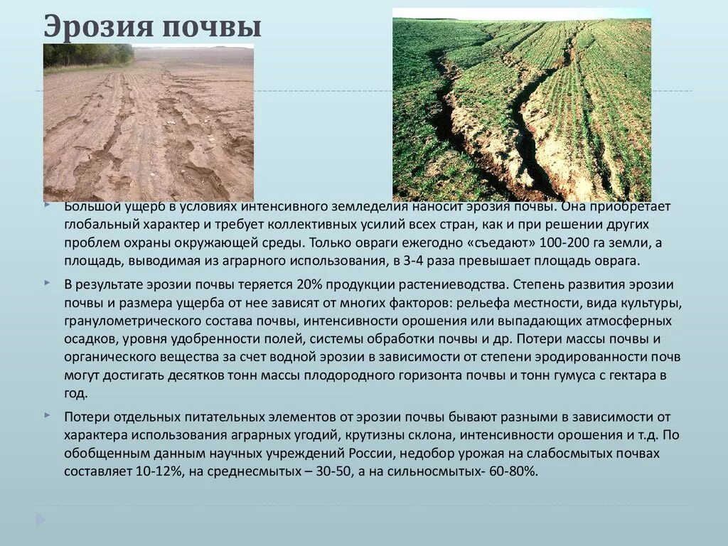 Эрозия почв какая проблема. Эрозия почвы. Причины водной и ветровой эрозии. Разрушение почв эрозия. Водная и Ветровая эрозия почв.