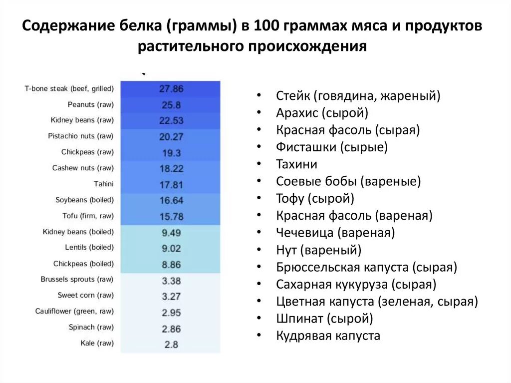 Сколько грамм белка содержится в мясе. Таблица количества белка в продуктах на 100 грамм. Содержание белков таблица на 100 гр. Таблица содержания белка в продуктах в 100 граммах в мясе. Количество белка в продуктах на 100 гр таблица.