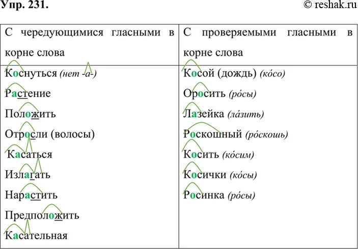 Упр 231 по русскому языку 6 класс