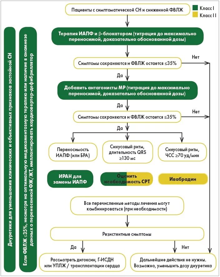 Алгоритм сердечной недостаточности. Алгоритм лечения хронической сердечной недостаточности. Хроническая сердечная недостаточность алгоритм лечения. Схема лечения сердечной недостаточности. Алгоритм лечения ХСН клинические рекомендации.