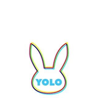 Yolo selection