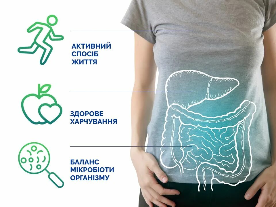 Иммунитет желудка. Иммунитет желудка. Иммунитет в кишечнике. Иммунитет желудка. Иммунитет в кишечнике.