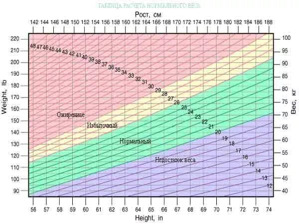 Норма веса. Рост и вес. Вес человека. Нормальный вес при росте 162.