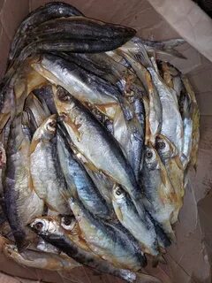 Продам вяленая рыба