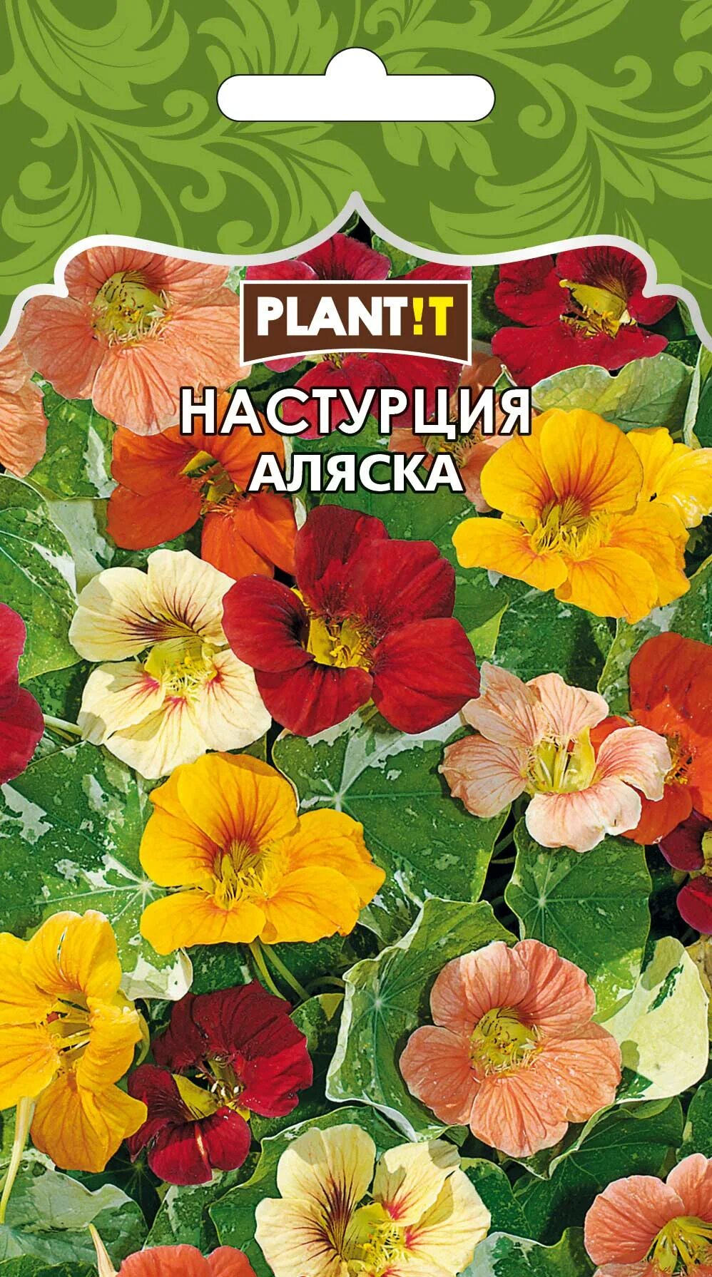Настурция сорт аляска. Настурция аляска смесь plantit. настурция низкорослая аляска. настурция низкорослая аляска золотая. настурция аляска скарлет.