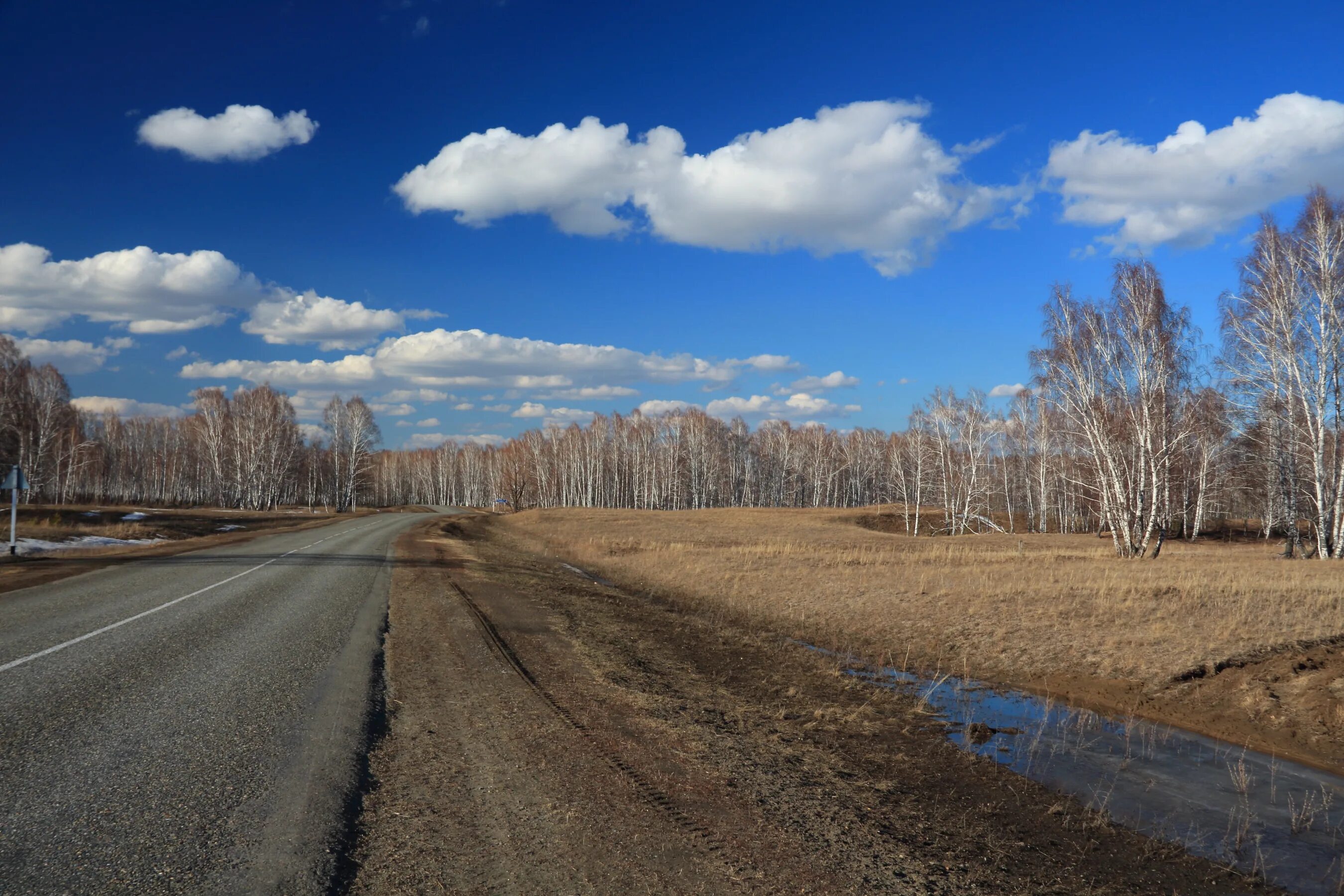 Погода северный алтайский край. Усть-Алейка Алтайский край. Село Усть Алейка Алтайский край. Село верх Алейка Алтайский край. Бориха Алтайский край Алейский район.