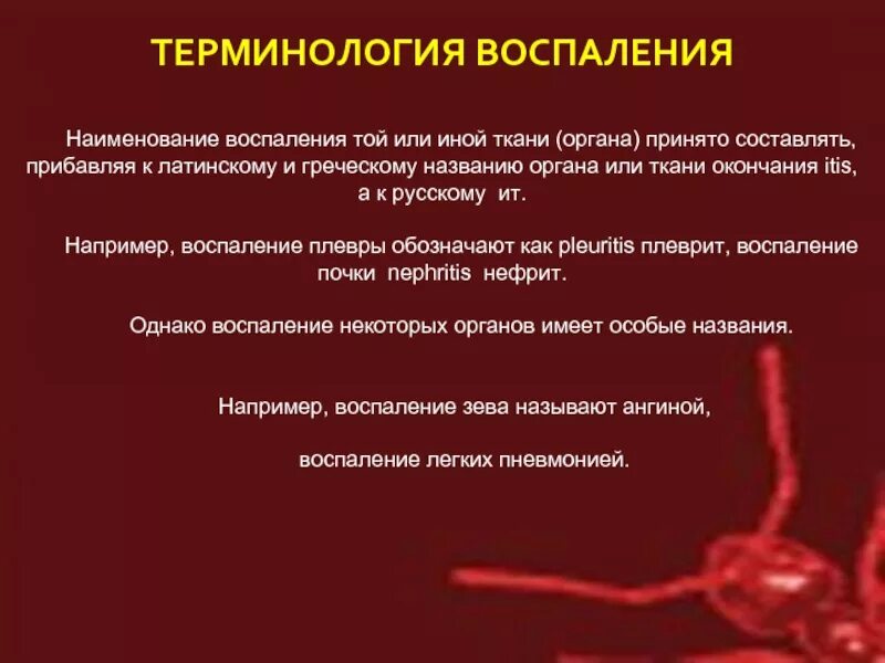 Как устранить воспаление. Как устранить воспаление