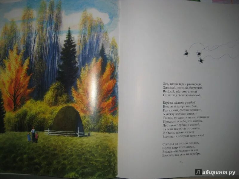 Блок тютчев бунин. Тютчев листопад. майков тютчев бунин. тютчев иллюстрация книга листопад. федор тютчев листопад.