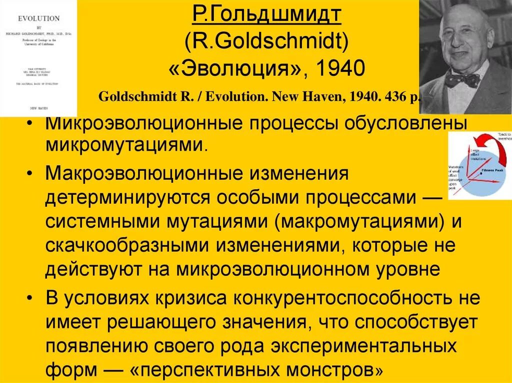 Примеры макроэволюционных изменений