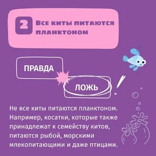 Цветняшки текст