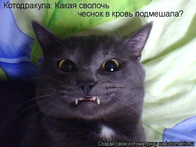 какая сволочь. петрович особенности национальной охоты. картинки приколы. какая сволочь песня. значение слово суболочь.