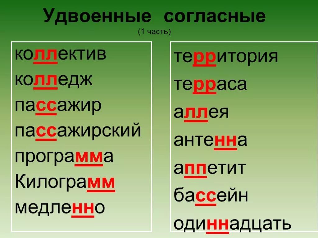 Слова слова 5 ответы фотография. Правописание слов с удвоенными согласными примеры. Словарь правописания слов с удвоенными согласными. Слова с удвоенными согласными 2 класс правило примеры. Правописание слов с удвоенными согласными правило.