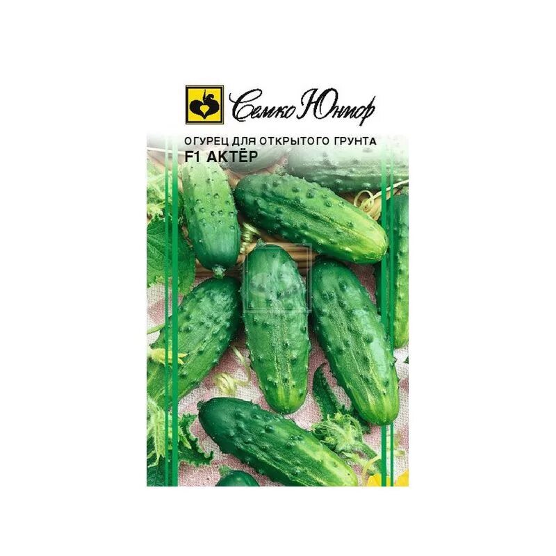 огурец маринда f1 корнишон. семена огурца кураж. семена огурцов отзывы. семена огурцов отзывы. семена огурцов отзывы.