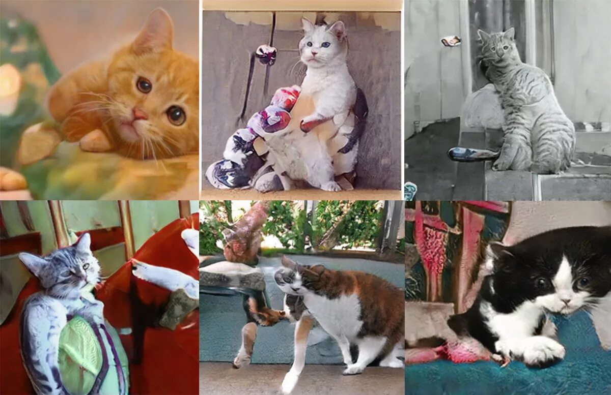 Сгенерировать кота