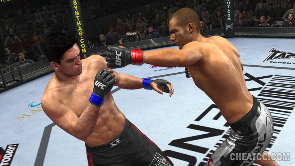 Как установить юфс на пк. Ufc undisputed 2010. юфс ундиспутед 2010. игра ufc 2010 undisputed. юфс 1 игра 2010.