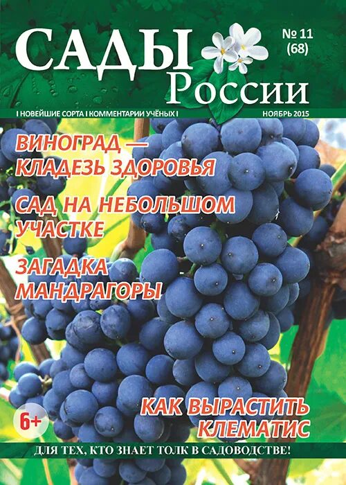 Сайт сады россии челябинск каталог