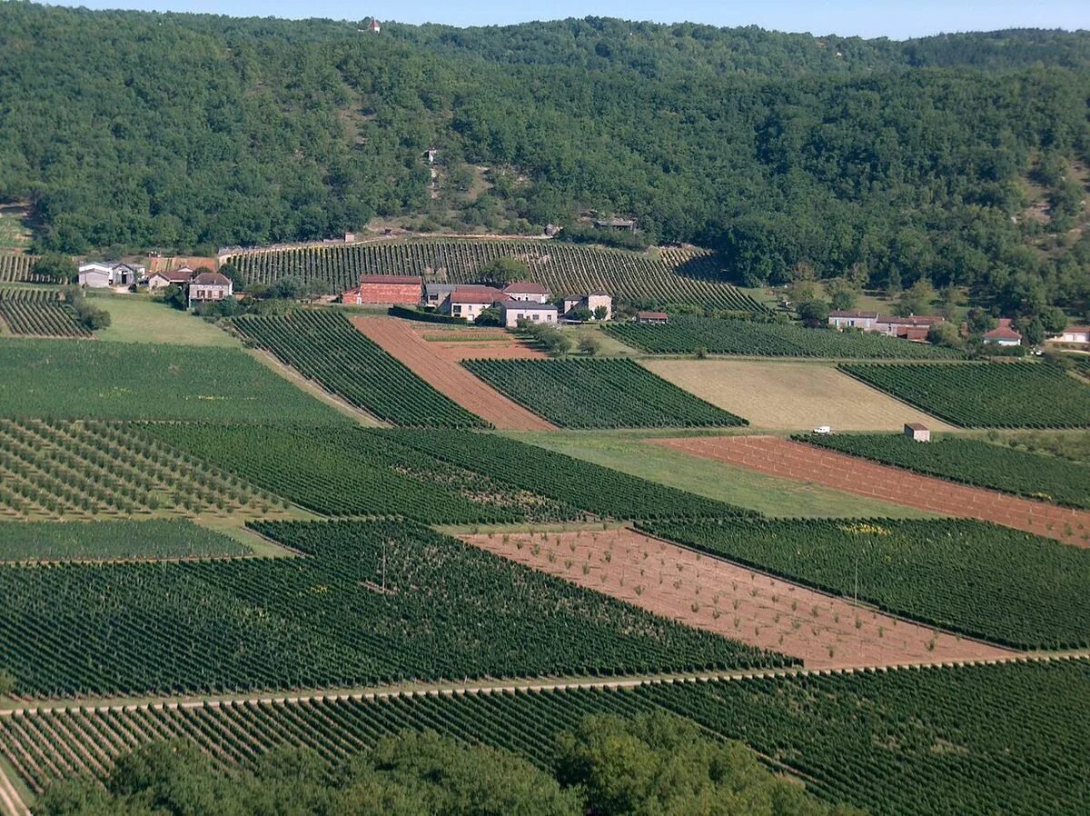 Valley of lot River Vineyards Cahors. Самые большие посадки Мальбека в бордо. Cahors Wine. A Malbec Vineyard Argentina.