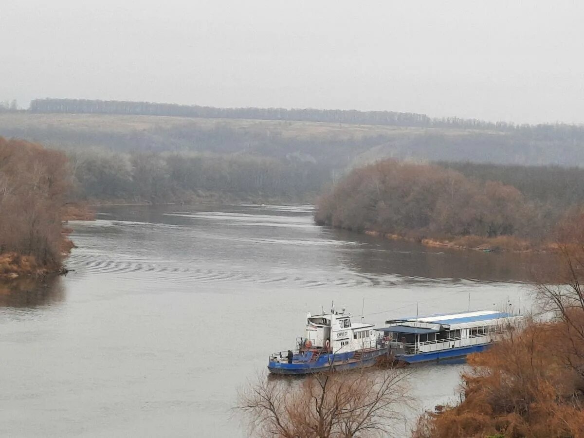 Катание по Дону в Павловске. Берег Дон город Павловск фото. Рыбалка в Павловске Воронежской области на Дону. Смотровая площадка Павловск карьер Воронежская область. Уровень воды в дону в павловске