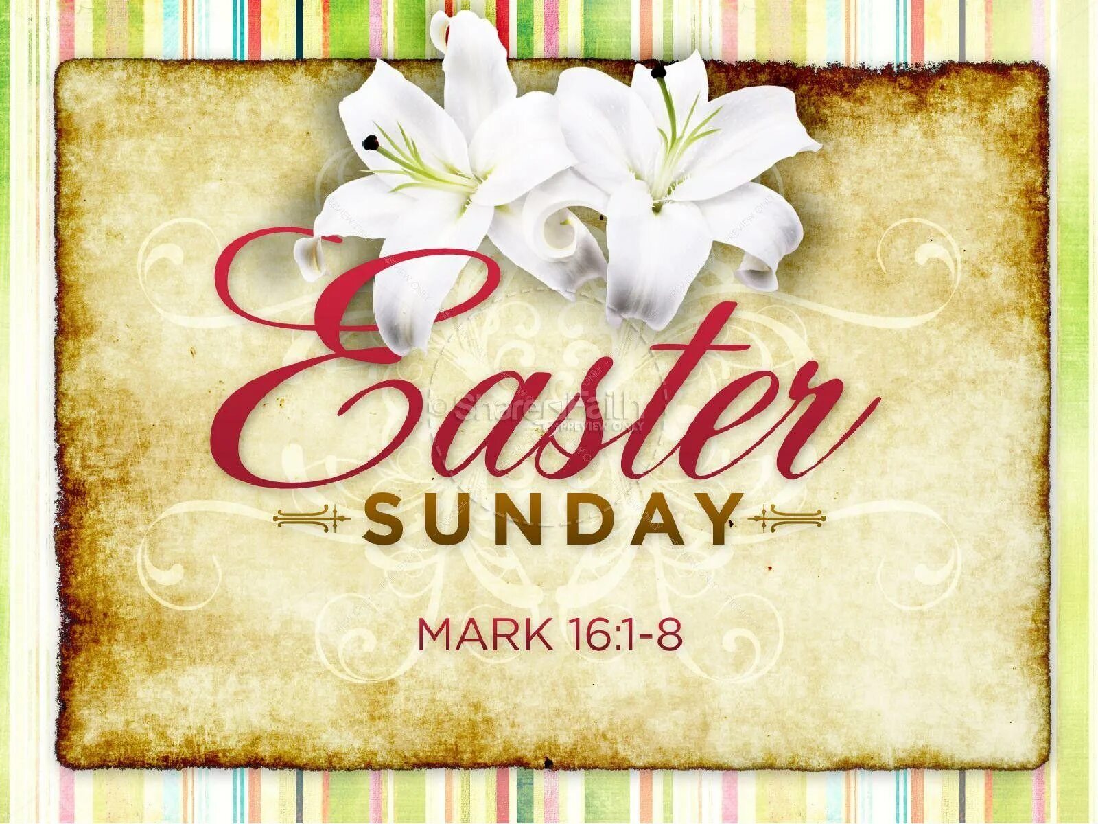 Sunday. Easter sunday. happy easter sunday. easter sunday (пасха). happy sunday конфеты.