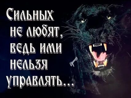 Нельзя они