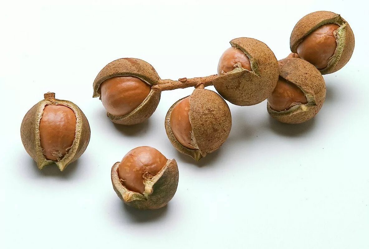 Плод со