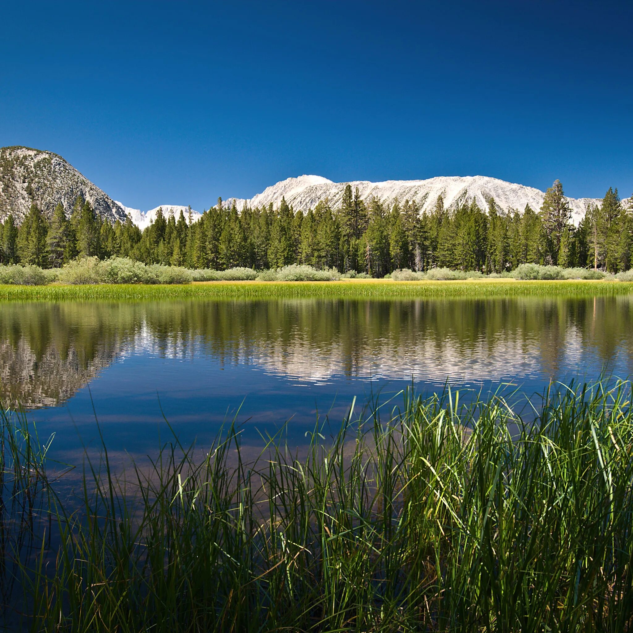 Скалистые горы сша. Что такое фулл. 8к ultra hd. Штат монтана, сша. Долина йосемити, сша рисунок.