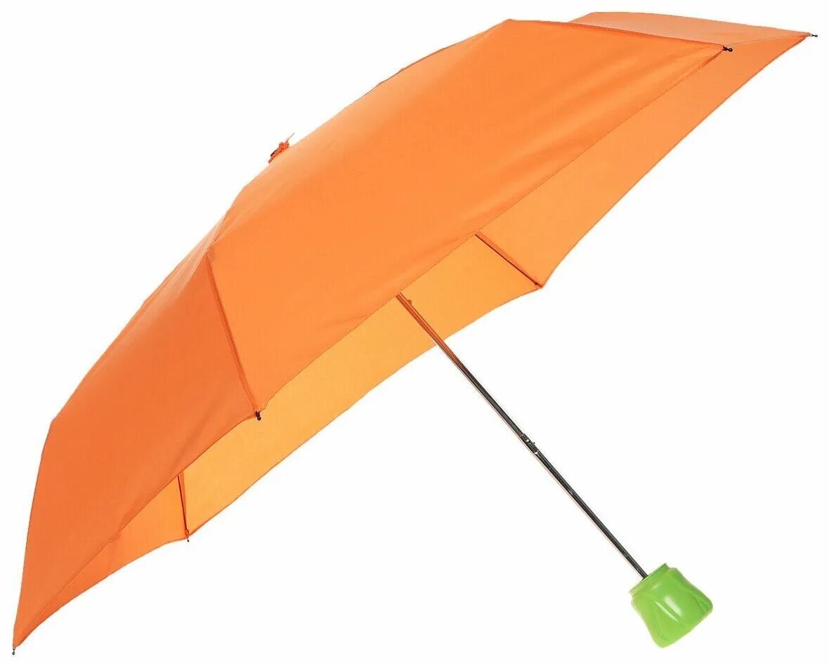 Зонтик моркови. Оранжевый зонтик. Зонт с морковками. Зонтики моркови декоративной.