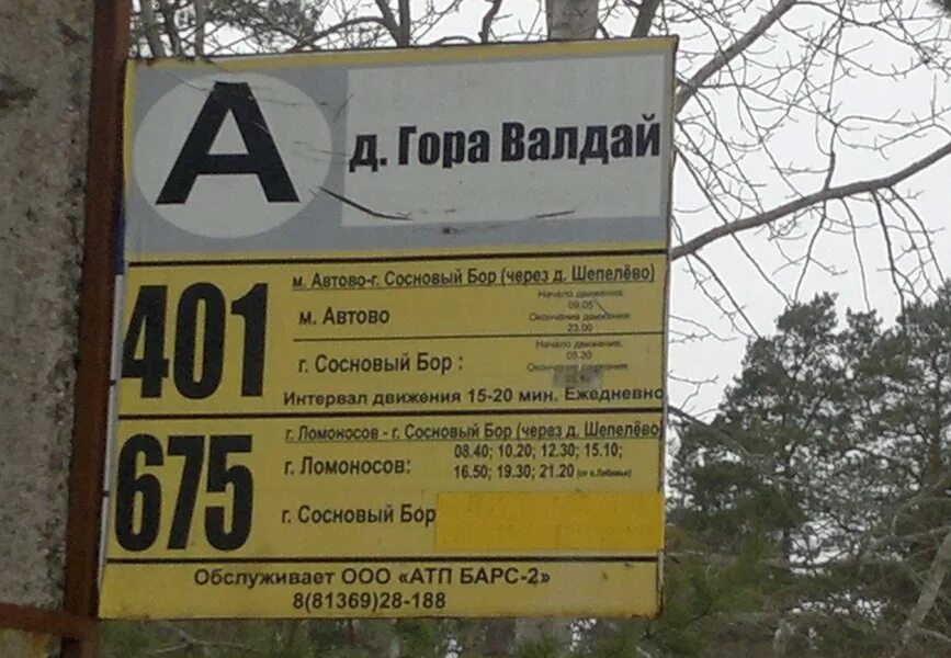 402 автобус сосновый бор спб расписание. 402 расписание сосновый. сосновый бор парнас 402 расписание. расписание автобусов парнас сосновый бор. расписание автобусов сосновый бор 10а.