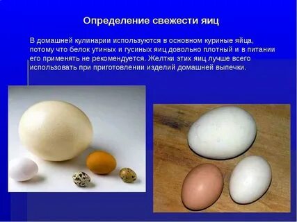 Где используется яйцо