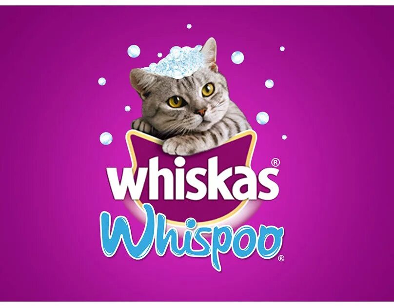 Музыка из рекламы вискас. Whiskas логотип. Реклама вискас. Вискас новогодний. Корм вискас новогодний.