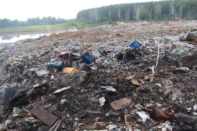 Тбо рязань. Мусорные свалки в подмосковье. Мусорный полигон в рязани. Тбо рязань. Свалка тбо, рязань.