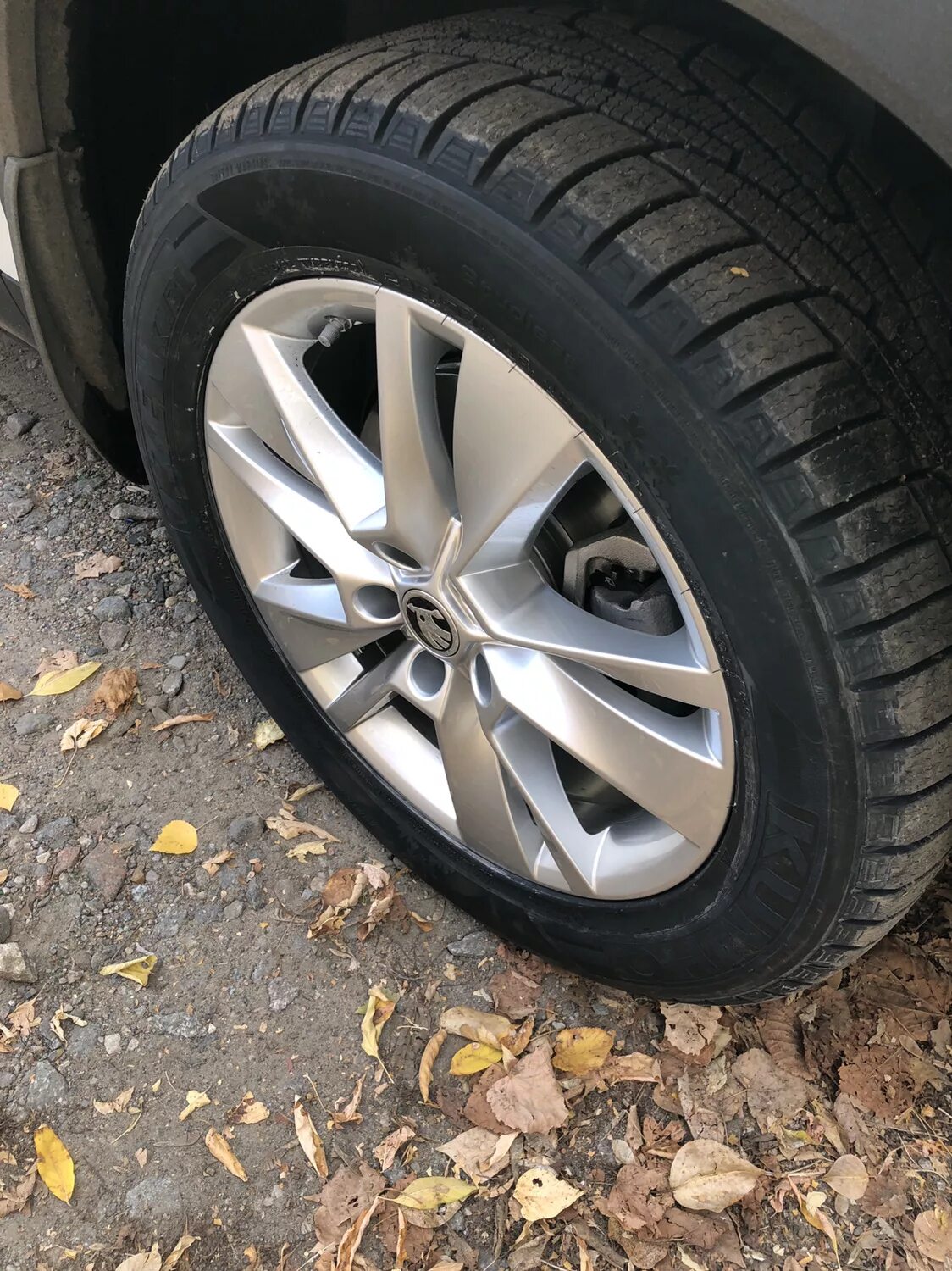 Шины на шкода недорого. Резина 235 55 18 на шкоду кодиак. kodiaq 235/50 r19 dunlop штатные резина. шины 235/55 r18 на шкоду кодиак. 225 60 18 на шкоду кодиак.