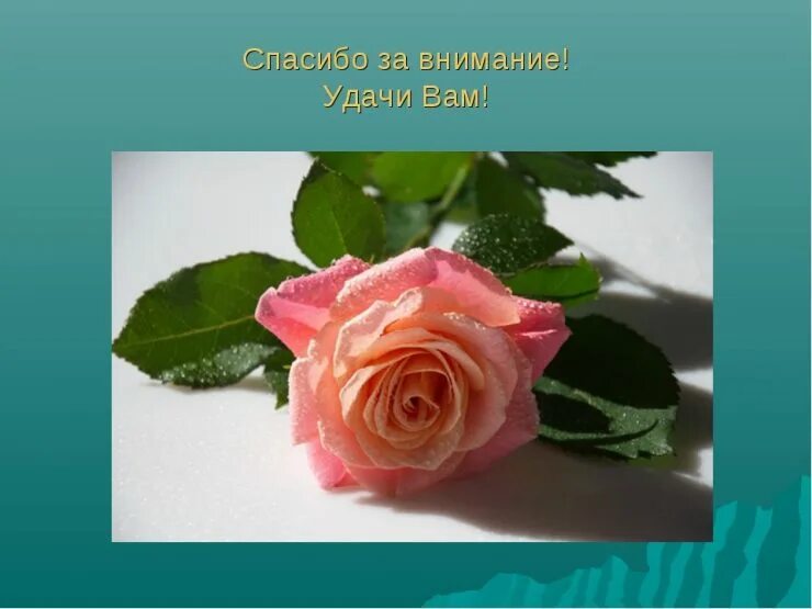 Благодарю удачи. Спасибо за внимание. благодарю за внимание. спасибо за внимание цветы. благодарю вас за внимание.