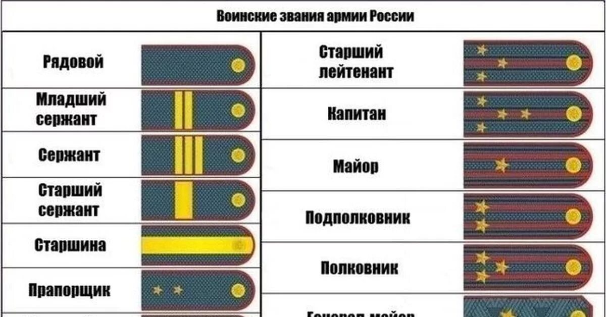 До какого дослужился толстый. Иерархия воинских званий Российской армии. Армейские звания по порядку и погоны Российской армии. Таблица воинских званий в Российской армии. Воинские звания военнослужащих вс РФ погоны.