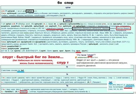 Босфор билеты