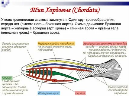 Замкнутое строение