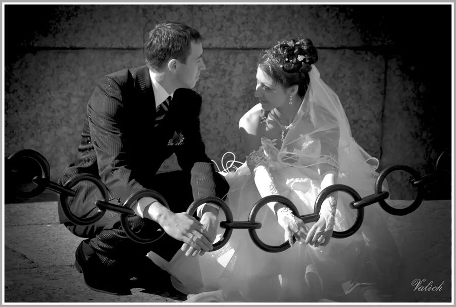 ангел со спины. лебедь с птенцами. лебедь шипун с птенцами. лебеди. "брачные узы".