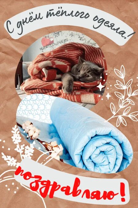 Укутаться в плед. Уютный плед камин. Камин плед. Алена кутания. День кутания в пледы.