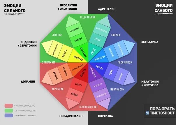 Методика индекс жизненного. Структурная модель эмоций Плутчика. Теория эмоций Плутчика.