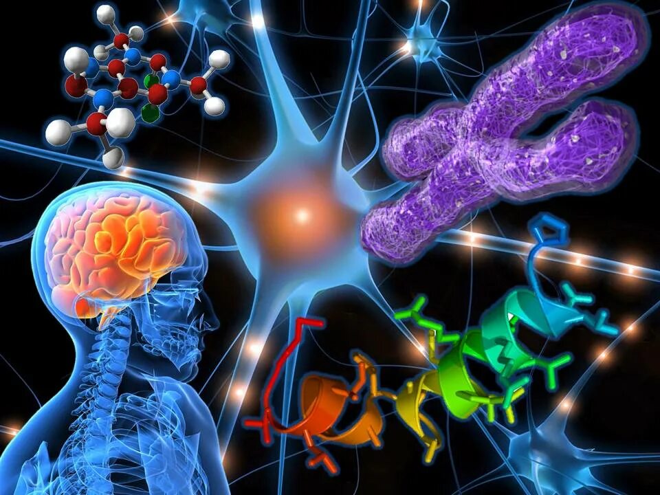 Наследственное заболевание мозга. Заболевания нервной системы. Патологии центральной нервной системы. Заболевания нервной системы человека. Химия мозга.