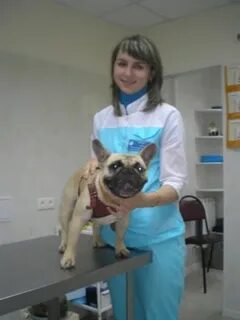 Ветеринар свао