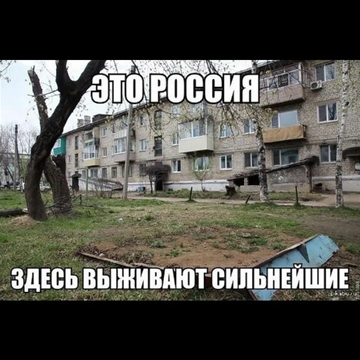 Выжить в России.